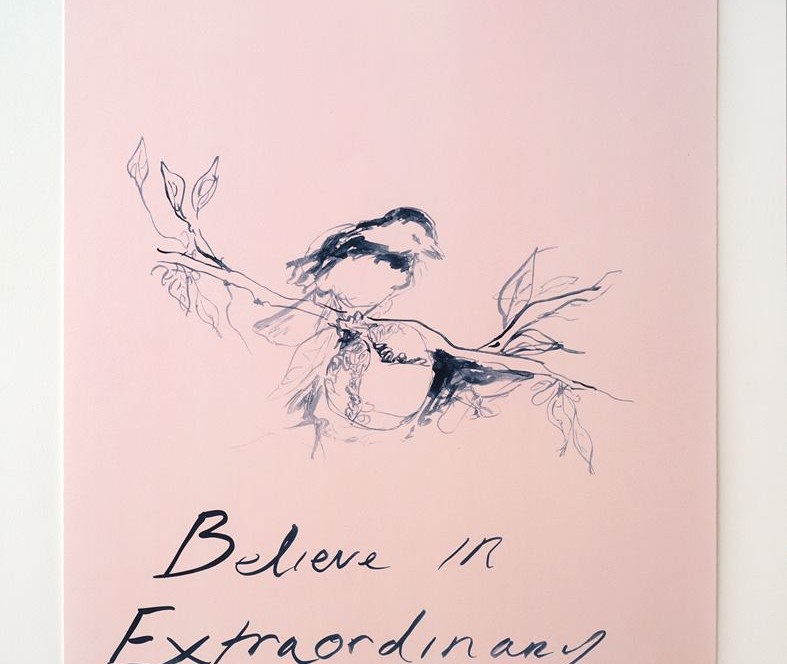 11407262_10153350700276894_9066758618085819858_n