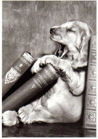 11889442_10153503737186894_2145670555921613172_n